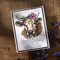 Spellbinders BetterPress Plate & Die Set by Justine Dvorak-Clover
